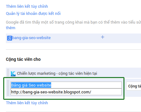 Thay đổi profile google để tránh bị spam.
