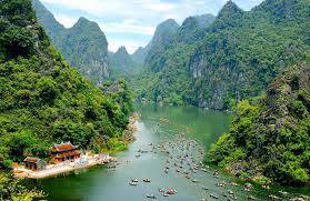 thiết kế web tại ninh bình