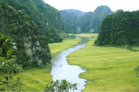 thiết kế web tại ninh bình